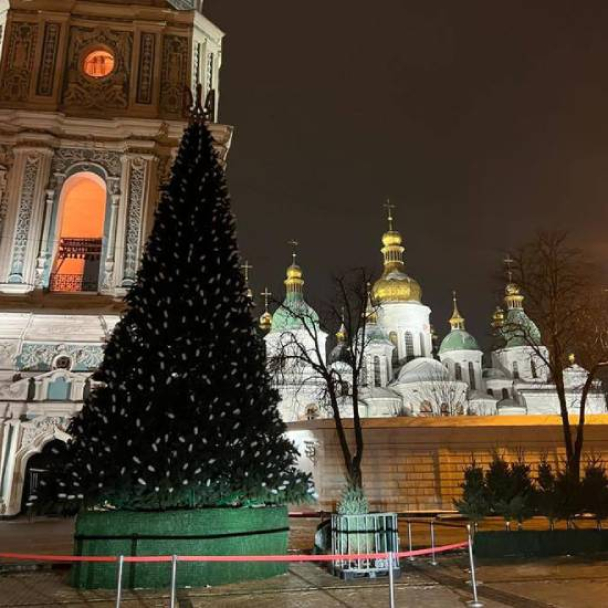 На Софийской площади в Киеве установили новогоднюю елку