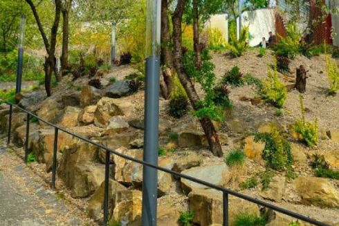 У Львові озеленили одну з вулиць і зробили її привабливою для туристів