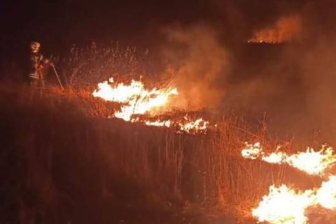 За фактом пожежі на території екопарку “Осокорки” розпочали досудове розслідування