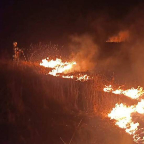 За фактом пожежі на території екопарку “Осокорки” розпочали досудове розслідування