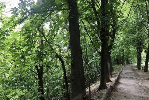 На Батиєвій горі хотіли збудувати ЖК: прокуратура подала позов до суду