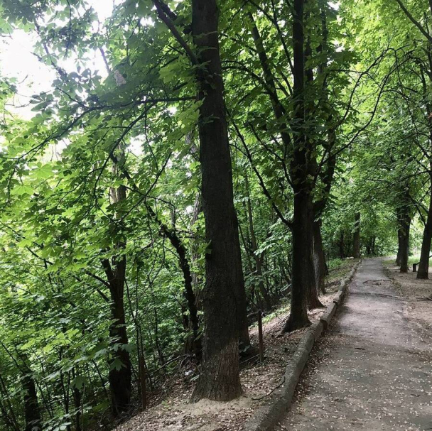 На Батиєвій горі хотіли збудувати ЖК: прокуратура подала позов до суду