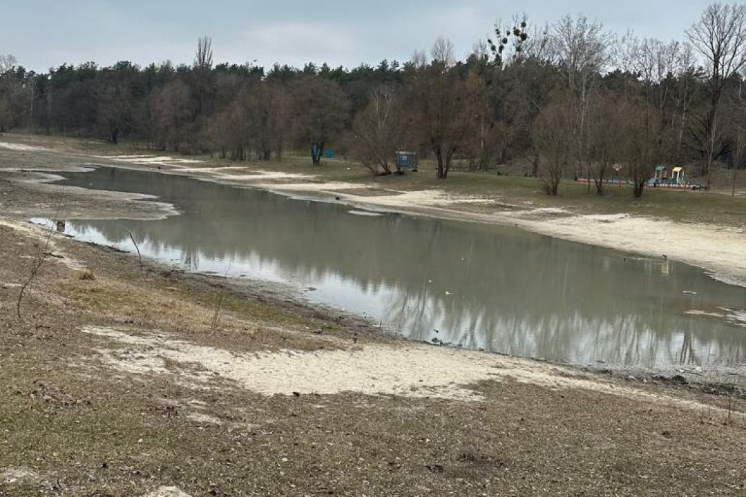 Озеро Синє на Виноградарі розчистили із багатотисячними збитками