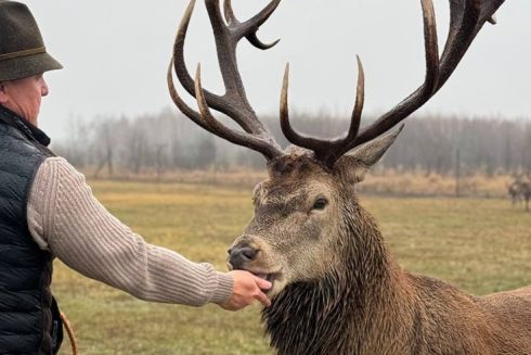 Дізнайтеся, як київський адвокат перетворив деокуповану територію на еко-парк з оленями