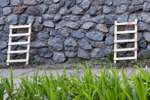 На стіні біля Міського театру висадили декоративний виноград: що дає вертикальне озеленення