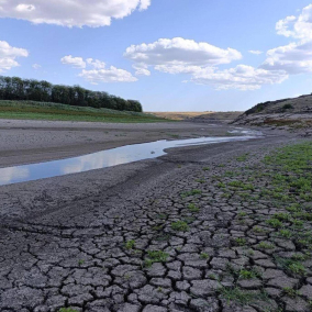 Маріуполь може залишитися без води — обміліло Старокримське водосховище