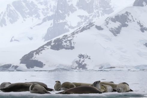 Postman выпустил клип на основе кадров со станции «Академик Вернадский»: видео