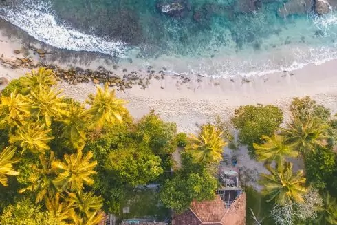 Шри-Ланка открыла границы для туристов с новыми правилами: что изменится