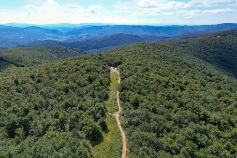 В Україні оцифрували ще десять національних парків: список