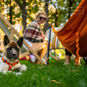 Кіно під зоряним небом та концерт KADNAY: навіщо йти на Picnic цими вихідними