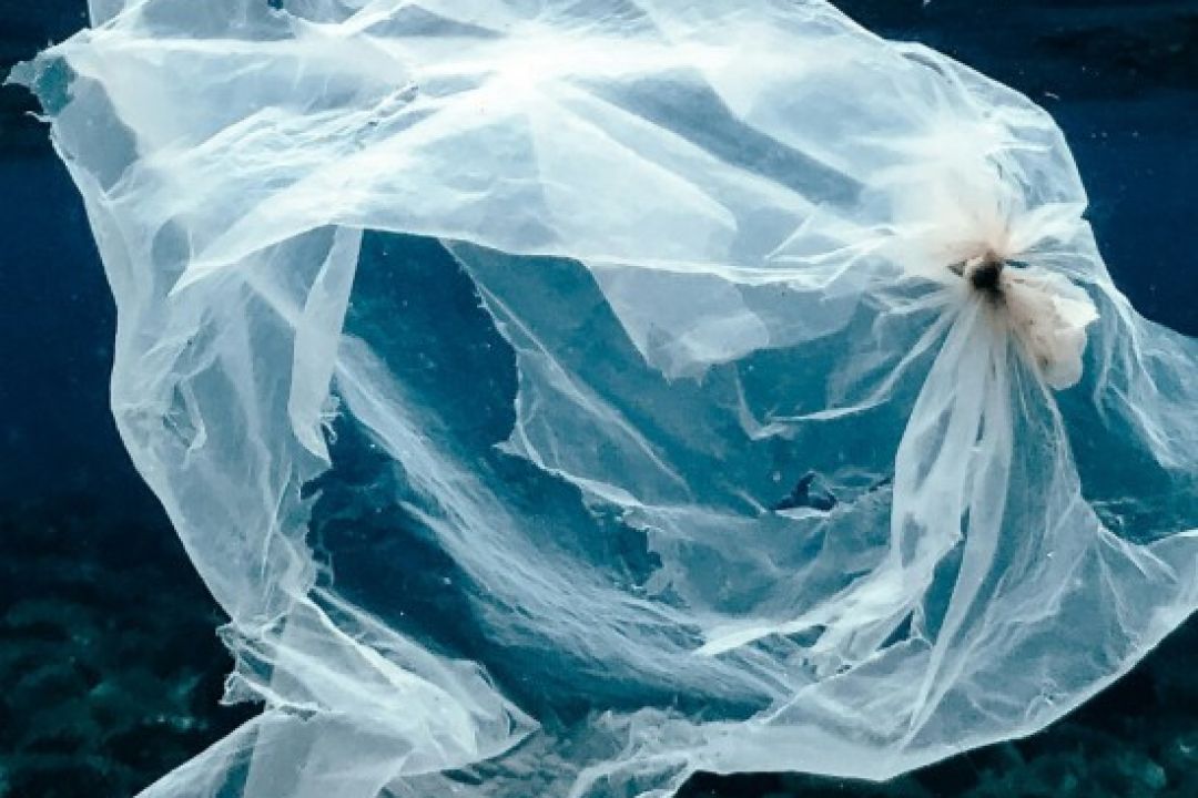 Вчені перетворили пластикові пакети на сенсори, що виявляють токсичні метали у воді