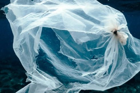 Вчені перетворили пластикові пакети на сенсори, що виявляють токсичні метали у воді