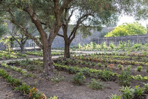 У Помпеях відтворили Сад Геракла — ось яким він був 2000 років тому