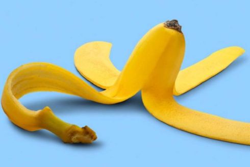 «Україна без сміття» запустила перший проєкт компостування органіки: як він працюватиме