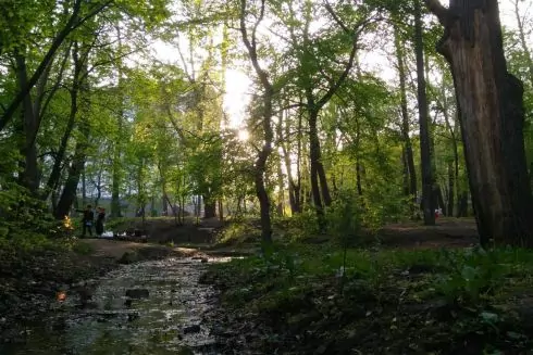 У Києві з'явиться 6 нових скверів і ландшафтний заказник