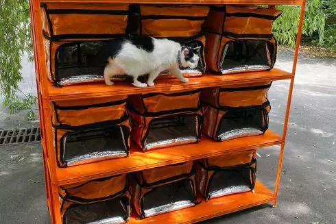 На левом берегу установили &laquo;Котохату&raquo; из утилизированных курьерских рюкзаков: фото