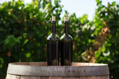 На японском рынке в 2021 году появятся украинские вина