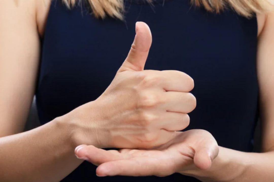 Команда з КПІ створила ШІ-застосунок, який навчає дітей мови жестів