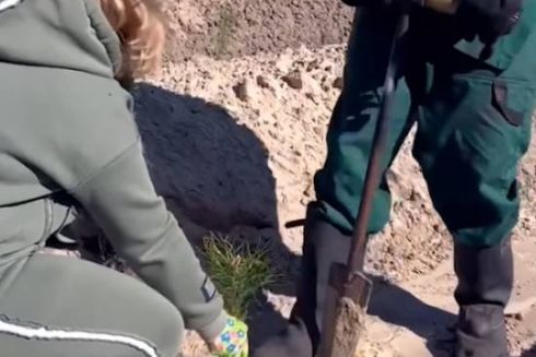 У Києві на Трухановому острові висадили 3 тисячі сіянців сосни