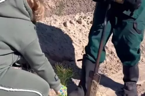 У Києві на Трухановому острові висадили 3 тисячі сіянців сосни