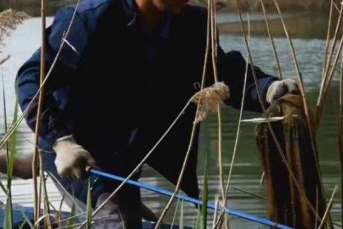 Озеро Лебедине на Дарниці очистили від сміття