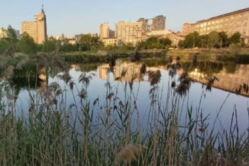 Занедбану ділянку на Антоновича можуть перетворити на парк: подробиці