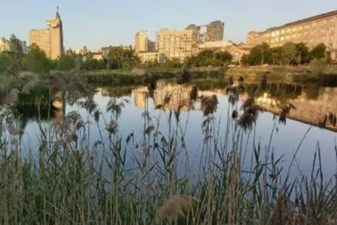 Занедбану ділянку на Антоновича можуть перетворити на парк: подробиці