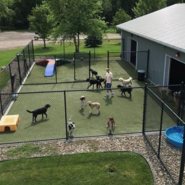 Волонтеры собирают деньги на строительство приюта для животных в Киевской области