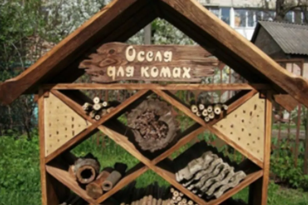 У Києві з'являться готелі для комах