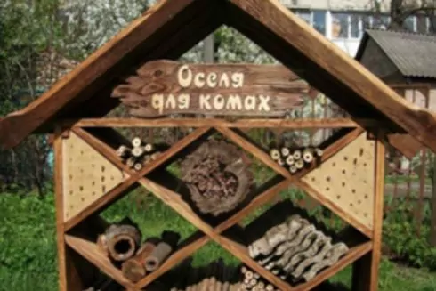 В Киеве появятся отели для насекомых