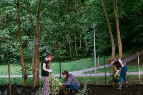 У Львові стихійне звалище перетворили на квітник