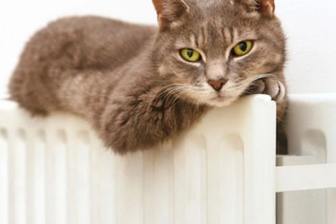 Опалювальний сезон у Києві завершиться 24 березня