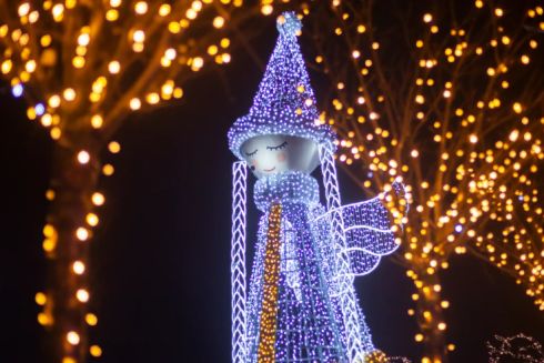 Зимове містечко з фотозонами, ілюмінаціями та інсталяціями відкриється у Добропарку