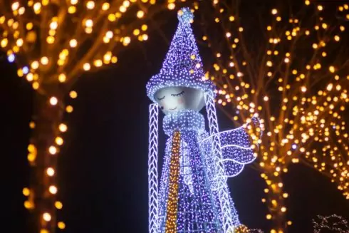 Зимове містечко з фотозонами, ілюмінаціями та інсталяціями відкриється у Добропарку