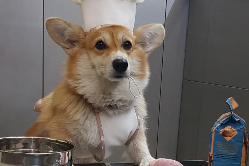 У сирецкого парка откроется зоокафе Woof-Woof