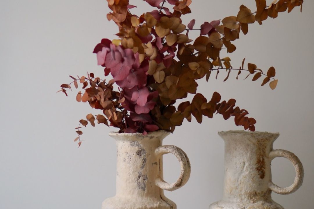 Український стартап розробив біорозкладне пакування з конопель та грибного міцелію