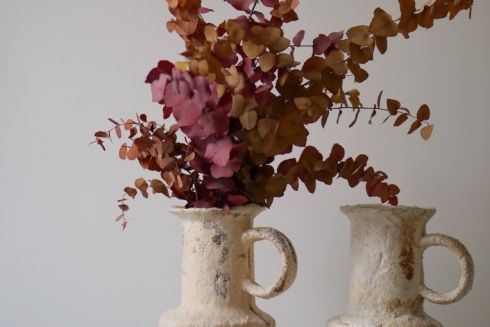 Український стартап розробив біорозкладне пакування з конопель та грибного міцелію