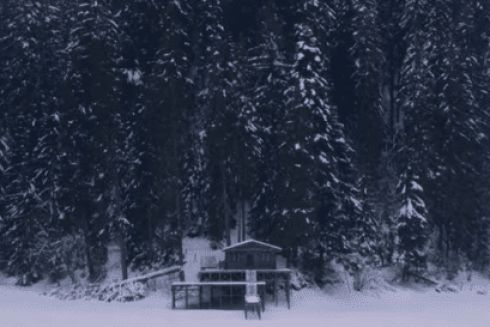 Вийшов трейлер фільму з Жаном Рено, який знімали у Карпатах