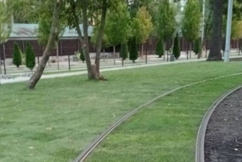 На ДВРЗ замість плит на трамвайних коліях поклали газон: що не так