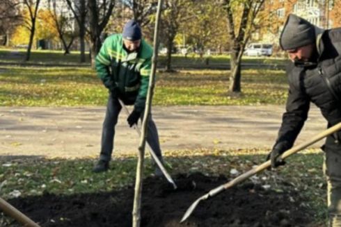 На Троєщині висадили 150 лип: де їх шукати
