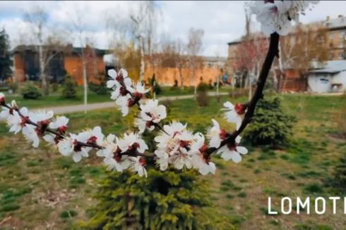 Київські комунальники запустили відеоекскурсії парками