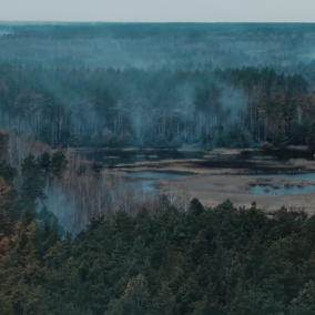 Видео: последствия пожара в Чернобыльской зоне сняли с помощью дрона