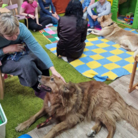 У Києві відкрили перший центр терапії за участі собак: на кого він розрахований та як це працює