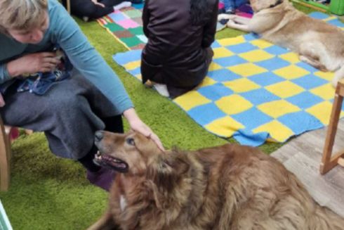 У Києві відкрили перший центр терапії за участі собак: на кого він розрахований та як це працює