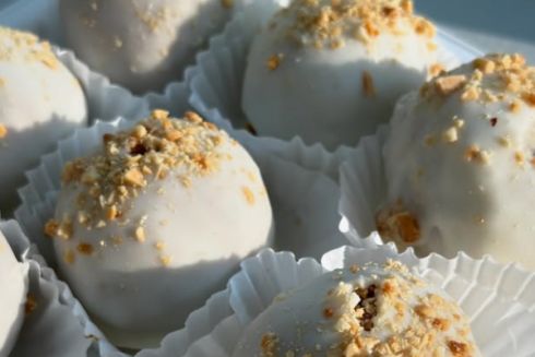 На Жилянській відкрилася pet-friendly кав'ярня-книгарня