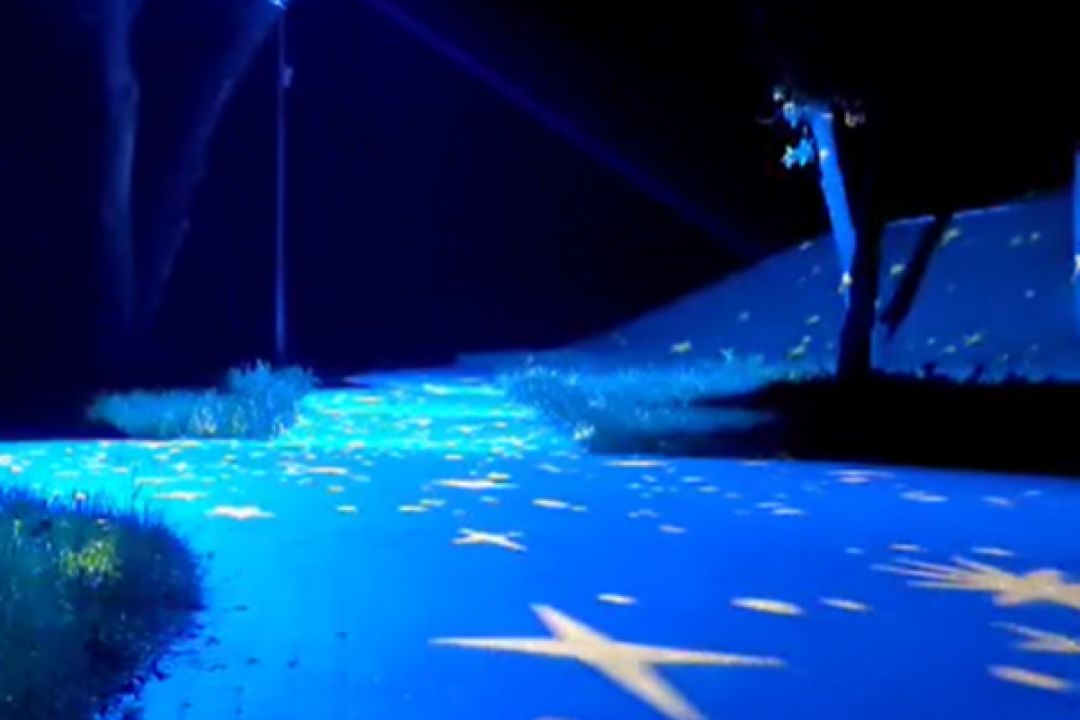 Аллею парка "Прибрежный" вечером будут подсвечивать звездами