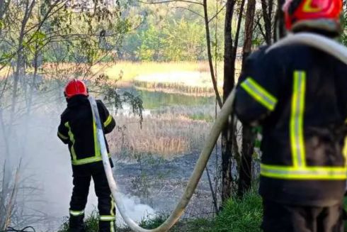 Біля Совських ставків вигоріло 200 квадратних метрів території