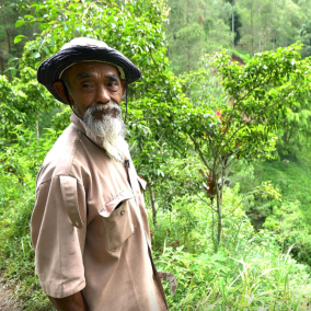 В Индонезии мужчина собственноручно высадил 11 тысяч деревьев. На это у него ушло 24 года