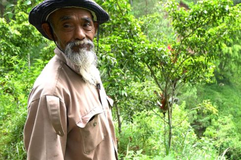 В Индонезии мужчина собственноручно высадил 11 тысяч деревьев. На это у него ушло 24 года