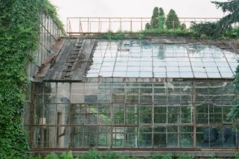 Теплицю на ВДНГ перетворять на сучасний простір для навчання та натхнення